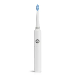Sonic PT8L Free Sample 10 Years Professional Oral Care Factory Battery Power Vibrate Automatic Sonic Electric Toothbrush