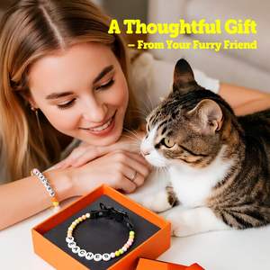 Collare per <span class=keywords><strong>Cani</strong></span> Personalizzato di Lusso in Alluminio con Perline Impermeabili e Fiocco, Nome Personalizzabile, Regalo, Braccialetto dell'Amicizia - Product Image 6