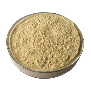 Additivi Alimentari Nattokinase Estratto di <span class=keywords><strong>Natto</strong></span> 20000FU/g Polvere di Nattokinase - Product Image 2