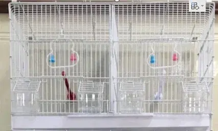 Metal Bird Cage - Large-sized Tiger-skin Parrot Cage - Mandarin ...