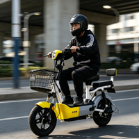 Vélo électrique rétro à 2 roues avec panier avant, scooter électrique à double siège, vélo électrique de banlieue pour adultes, vente en gros