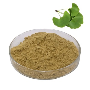 Bột Chiết Xuất Từ Hạt Bạch Quả <span class=keywords><strong>Ginkgo</strong></span> <span class=keywords><strong>Biloba</strong></span> Chiết Xuất Từ Lá Bạch Quả - Product Image 2