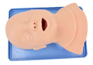 新生児抜管トレーニングモデル経口および鼻挿管幼児看護幼児人体解剖学モデル医学 - Product Image 4