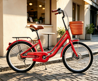Prix d'usine – Vélo de ville 20/22 pouces en acier à haute teneur en carbone avec panier en plastique pour femme – En promotion
