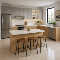 Gabinetes de Cocina Estilo Shaker Directo de Fábrica para Proyectos Residenciales a Granel, Mayoristas de Gabinetes y Suministro para Viviendas Multifamiliares