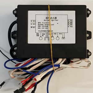 Encendedor de Pulso para Vaporera Comercial, Eléctrico de Acero Inoxidable 220V 800W con Función de Doble Encendido - Product Image 1
