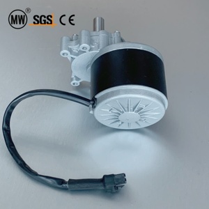 Livraison Rapide Moteur à Courant Continu à Balais 24V 250W MY1016Z2 <span class=keywords><strong>75</strong></span> tr/min à Aimant Permanent avec Engrenage pour <span class=keywords><strong>AGV</strong></span> et Chariot de Manutention - Product Image 1