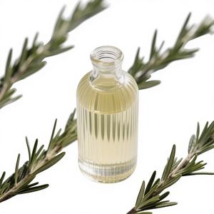 Usine chinoise, livraison rapide, prix compétitif, huile d'extrait de romarin à <span class=keywords><strong>5</strong></span>% d'acide carnosique, qualité alimentaire, qualité supérieure, bouteille/fût - Product Image 1