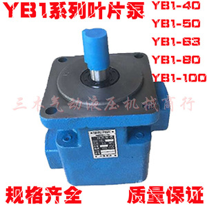 Pompe à aubes Wuxi série Yb1, 6,3 Mpa, 1 étage, pompe à huile hydraulique pour usage industriel - Product Image 3