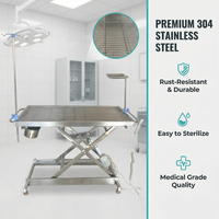 Table d'examen vétérinaire en acier inoxydable avec hauteur réglable et surface antidérapante pour chiens, chats et petits animaux