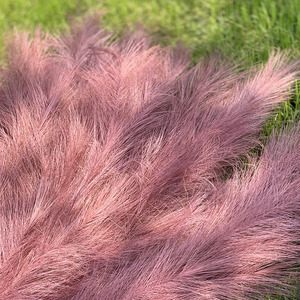 Botte de roseaux des marais artificiels, 10 pièces, décoration en peluche, pour mariage, prix de gros - Product Image 3
