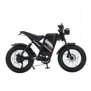 Bicicleta Eléctrica Plegable de 20 Pulgadas con Batería de Litio-Ferrofosfato, Pedaleo Asistido Electrónico, 7 Velocidades, Motor de 48V en la Rueda Trasera, Doble Motor - Product Image 4