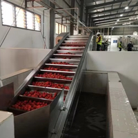 Geavanceerde tomatenverwerkingslijn voor tomatenpuree en pikante saus - multifunctionele tomatensausprocessor