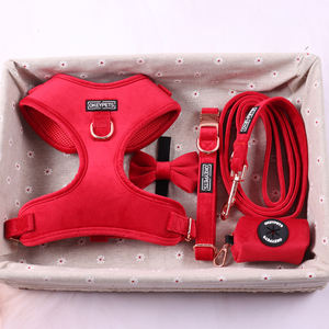 Okeypets Großhandel Samt-Hundegeschirr-Set mit Roségold-Metallschnallen, geeignet für Welpen, Hunde und Haustierzubehör, Geschirr-Sets - Product Image 3