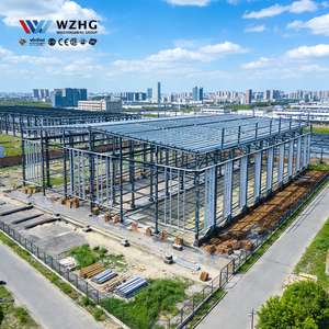 Q355b Carbon Steel Fast Installation Process Reliable Factory Professional Manufacturing Plant Structure Building - Product Image 1
