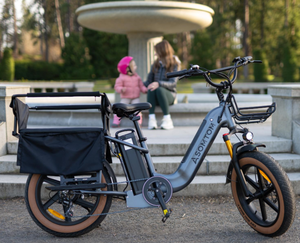 Vélo cargo électrique OEM 750W Monster M1 avec moteur à carburant alternatif, service de livraison en <span class=keywords><strong>coffre</strong></span>, vélo électrique anglais - Product Image 1