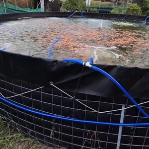 Bể nuôi trồng thủy sản dùng màng địa kỹ thuật Pondliner cho nuôi cá Tilapia, tuổi thọ cao - Product Image 1