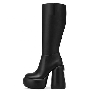 Bottes hautes à talons ronds pour femmes, plateforme épaisse, styles uniques, bottines longues, design personnalisé, chaussures à fermeture éclair latérale - Product Image 2