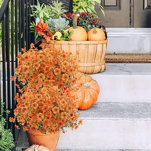 Festival de la récolte artificielle orange couleur d'automne bouquet de fleurs faisceaux violets pour la décoration d'automne intérieur maison balcon extérieur - Product Image 4