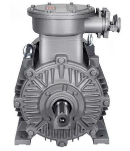 Motor de Inducción Trifásico Innomotics BT4 1MB0063 de 4 Polos, 380V, 50HZ, Bajo Voltaje, a Prueba de Explosiones y Llamas, 0.55-15kW BT4 High Vo - Product Image 1