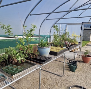 Serre à tunnel élevé avec système de refroidissement et ventilateurs 200 microns Film de polyéthylène UV serre de couverture française - Product Image 2