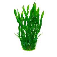 Ensemble de Décoration de Paysage pour Aquarium en Résine Simulée, Corail Coloré, Ornements de Récif, Vue sur la Mer