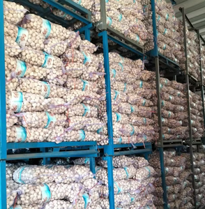 Ail Jin Xiang, Exportador de Ajo Fresco, Ajo Fresco a Gran Escala, Venta al por Mayor en China para Plantas de Procesamiento de Ajo - Product Image 2