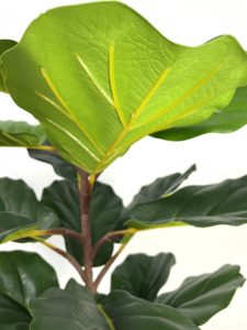 Vente chaude petit pas cher <span class=keywords><strong>prix</strong></span> artificielle leaf fiddle figuier pour les décorations d'intérieur - Product Image 2