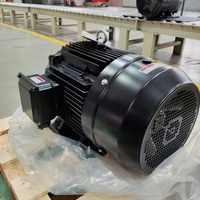 60 PS Hitzebeständiger, hochwertiger Drehstrom-50-Hz-Inverter-Asynchronmotor der NEMA-Serie für Kondensatorlüfteranwendungen, Standfußmontage