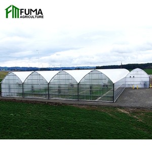 FM Blueberry Grow <span class=keywords><strong>Kit</strong></span> de serre commerciale pour l'agriculture <span class=keywords><strong>en</strong></span> tunnel de haute qualité <span class=keywords><strong>Abri</strong></span> de pluie à travée multiple - Product Image 6
