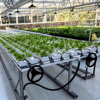 Banc roulant hydroponique à canaux NFT Super Farm en PVC/PE de qualité alimentaire vierge pour systèmes d'agriculture verticale de laitue - Optimisation de l'espace