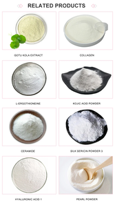 Großhandel Bulk 98% Glutathion Pulver für Haut aufhellung kosmetik für alle Schönheits produkte Sicher für schwangere Frauen - Product Image 6