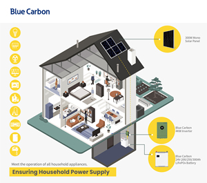 Système solaire hors réseau Blue Carbon, panneaux solaires 4 kW, onduleurs solaires, batterie au lithium solaire 24 V, système de stockage d'énergie solaire - Product Image 4