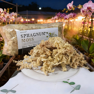 Musgo Sphagnum Ecológico de la Marca MUSCHIO a Precio de Fábrica para Plantas Carnívoras, Alta Absorción de Agua, Fardos Grandes - Product Image 1