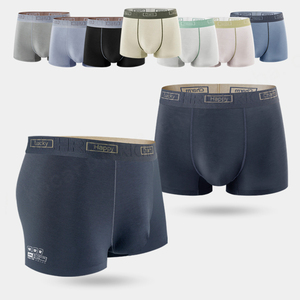 High Quality Boxer <b>Trunk</b> Manufacturer Custom Logo Flat Angle Modal <b>Men's</b> Breathable Briefs & Boxers <b>for</b> <b>Men</b> - Product Image 1