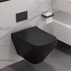 Sanitaires couleur mate dissimulé réservoir d'eau salle de bain flottant <span class=keywords><strong>suspendu</strong></span> placard mur <span class=keywords><strong>suspendu</strong></span> <span class=keywords><strong>toilette</strong></span> - Product Image 1