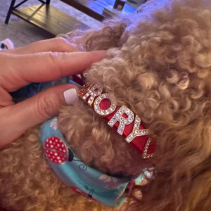 Accessori per animali domestici carini personalizzati piccoli scintillanti collare per gatti per animali domestici collare per cuccioli di diamanti con strass collari per cani per XS piccolo medio - Product Image 4