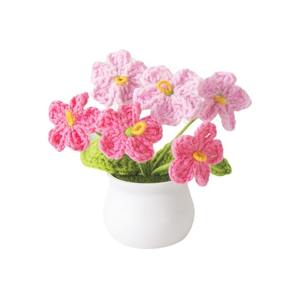 Plantas en maceta de olvido-amo (Forget-Me-Not) hechas a mano y personalizadas, regalos para el Día de la Madre, plantas en maceta directamente de fábrica, plantas en maceta en lotes. - Product Image 5