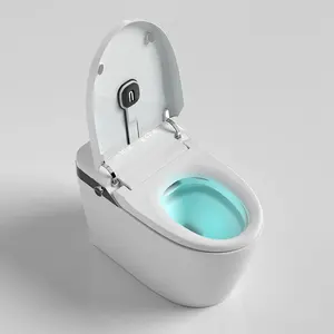 Modern seramik elektrikli sifon gömme zemin monte yuvarlak otomatik akıllı akıllı tuvalet akıllı bide Wc