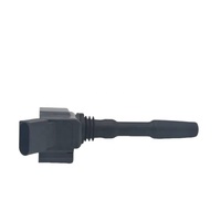 Kualitas tinggi untuk pabrik koil pengapian Bosch baru untuk memperbaiki Audi A3/A4/RS5/A6/S8/Q3 OE 06H905110P 06H905110T