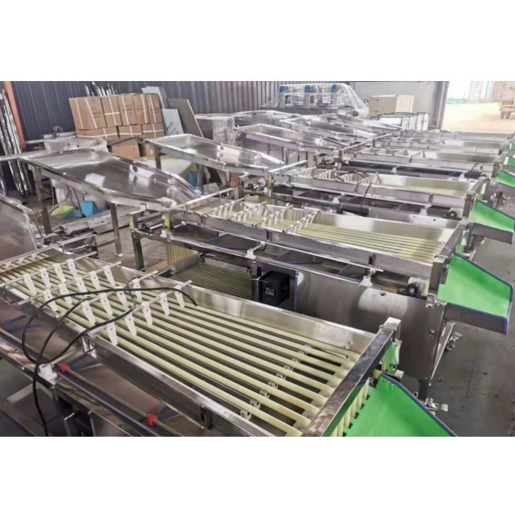 Screw Sorting Machine Garlic Sorting Machine