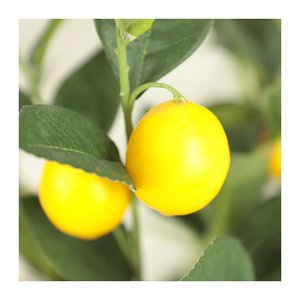 Plante bonsaï décoration de <span class=keywords><strong>balcon</strong></span> intérieur Faux petit arbre à fruits arbre à citron artificiel - Product Image 6