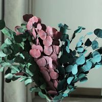 Rangkaian Tanaman Daun Apel Bulat Eucalyptus Kering Alami Warna-Warni untuk Dekorasi Rumah, Kantor, dan Pernikahan