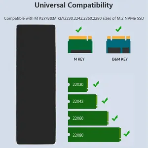 Tisshric M2 SSD Case M.2 Nvme SATA SSD custodia NVME SATA Dual protocollo 10Gbps USB 3.1 Gen2 USB C supporta i tasti M e B & M