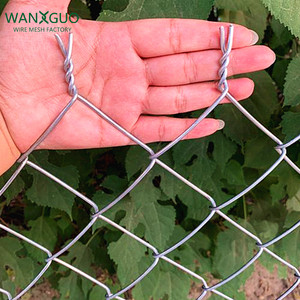 Direct Factory High Quality Galvanized Steel PVC Green Black Coated Chain Link Fence 3D Modelling Service <strong>Fencing</strong> <strong>Trellis</strong> <strong>Gates</strong> - Product Image 4