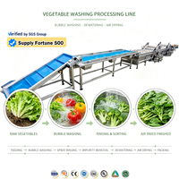 Industriële apparatuur voor de verwerking van diepvriesgroenten en -fruit, IQF-productielijn, voedselveilige roestvrijstalen ozonsterilisatie