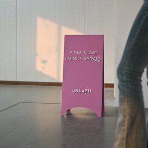 Tableros de exhibición rosas de doble cara de piso a techo en la entrada de la tienda, diseño creativo de alta gama - Product Image 2