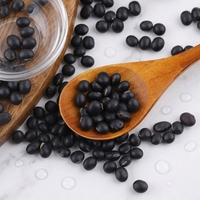 Soja noir biologique en vrac, haricots secs riches en fibres et en nutriments, de haute qualité, origine Jilin, durée de conservation de 12 mois