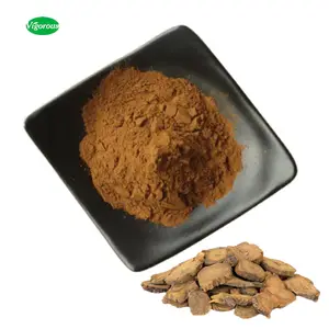 高品质大黄提取物 Kosher Rheum palmatum root extract