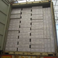 Plafond acoustique en fibers minérales tuile